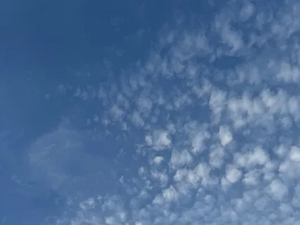 Yoga Nidra For Softening Into Your Being