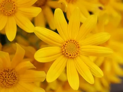 Yoga Nidra For Solar Plexus Chakra - Inner Strength & Power