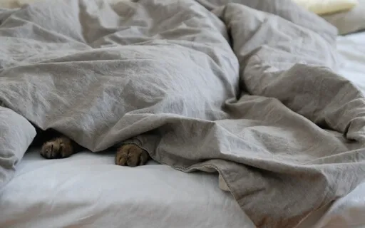 Yoga nidra för sömn, med musik