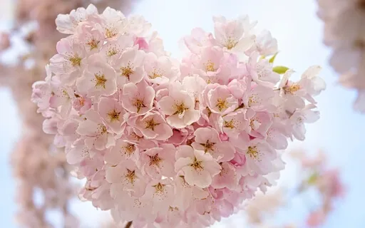 Yoga Nidra för sömn: Självmedkänsla (Self Compassion)