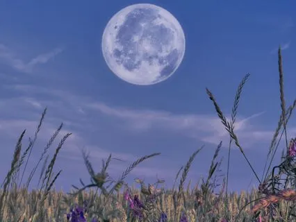 Yoga Nidra For Soothing Summer Sleep