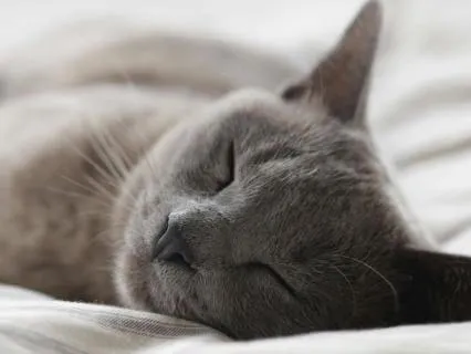 Yoga Nidra For Stress And Anxiety