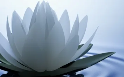 Yoga Nidra For Stress Relief And Self Care