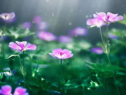 Yoga Nidra For Stress Relief