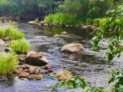 Yoga Nidra For Summer Solstice