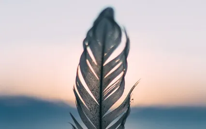 Yoga Nidra For Surrender