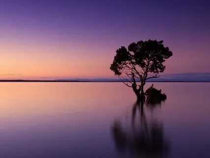 Yoga Nidrā For Sweet Sleep