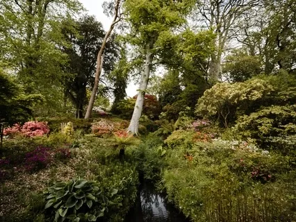 Yoga Nidra For Tending To Your Inner Garden