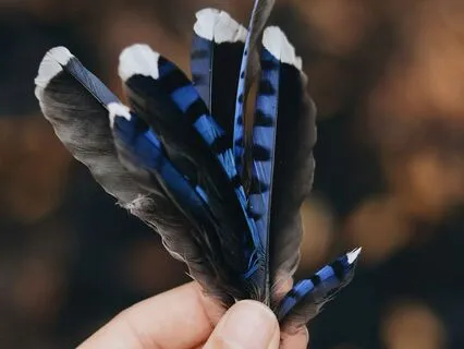 Yoga Nidra For The Air Element