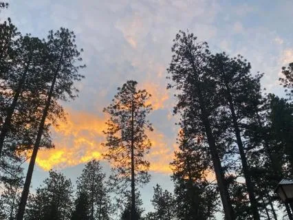 Yoga Nidra For The Autumn Equinox