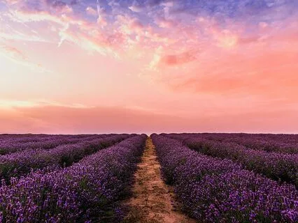 Yoga Nidra For The Full Pink Moon (Voice Only)