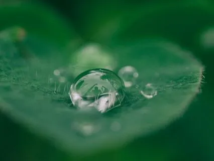 Yoga Nidra For The Heart Space