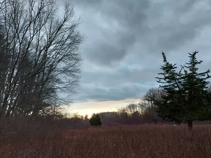 Yoga Nidra For the Lunar New Year