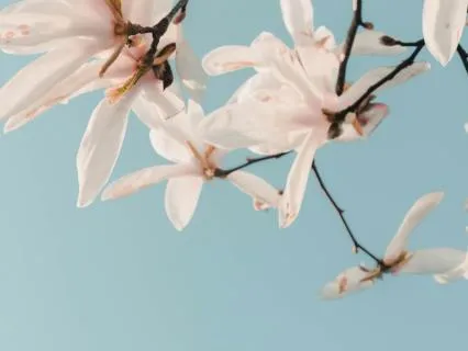 Yoga Nidra – Inner Renewal & Gentle Reawakening