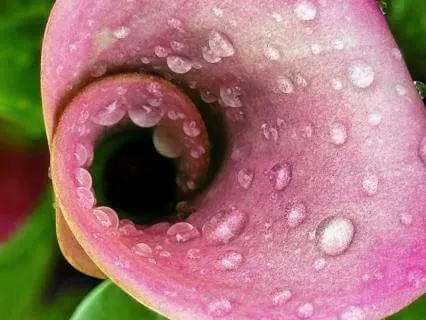 Yoga Nidra For The Spring Equniox: Follow The Spiral Path