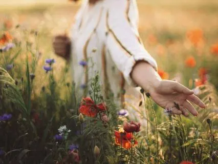 Yoga Nidra For The Summer Solstice 2026