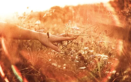 Yoga Nidra For The Two Week Wait