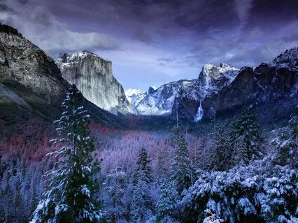 Yoga Nidra For The Winter Solstice | Ancient Rhythms