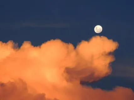 Yoga Nidra For The Wired & Tired