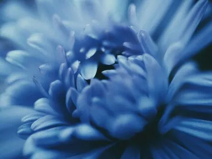 Yoga Nidra For Third Eye Chakra - Inner Vision