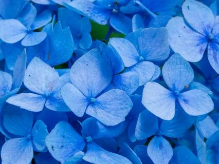 Yoga Nidra For Throat Chakra - Open Expression