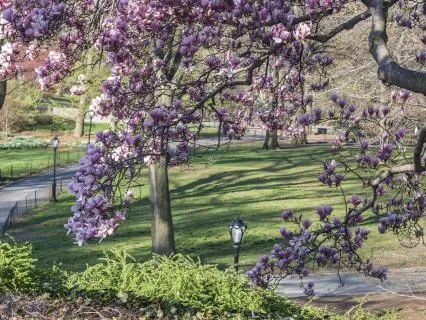 Yoga Nidra For Transformation And Renewal