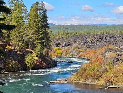 Yoga Nidra For Trust And Going With The Flow (With Music)