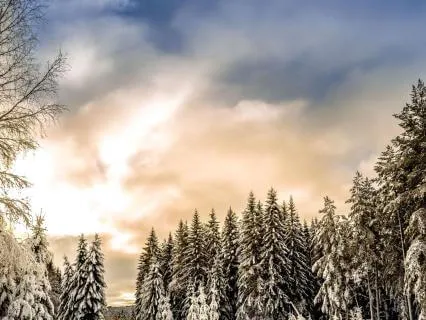 Yoga Nidra For Twixmas