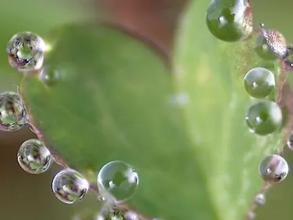 Yoga Nidra For Unveiling The Self (Meditation Version)