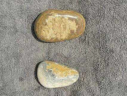 Yoga Nidra For Vagus Nerve Stimulation