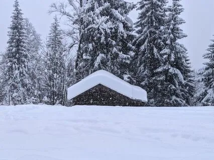 Yoga Nidra For Winter Solstice