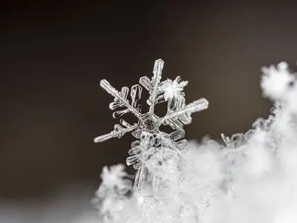 Yoga Nidra For Winter Stillness