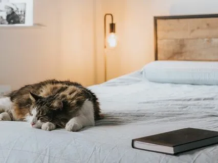 Yoga Nidra For Winter Stress Relief