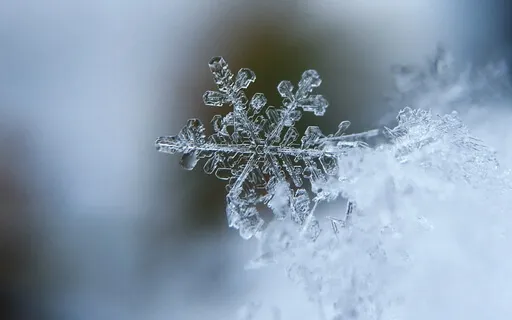 Yoga Nidra For Winter 