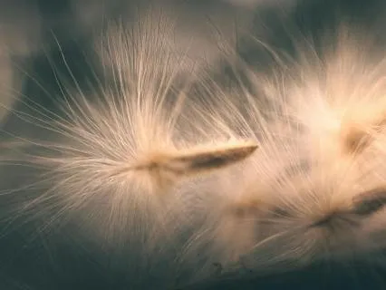 Yoga Nidra For Work Stress