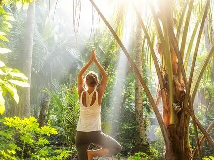 Yoga Nidra Forest Meditation