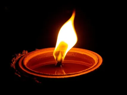 Yoga Nidra Forest Walk