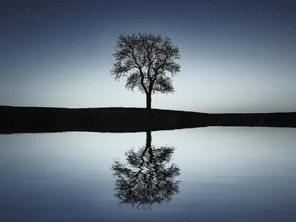 Yoga Nidra - Foster Feelings Of Peace And Clarity