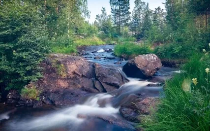 Yoga Nidra: Full Body Guided Relaxation