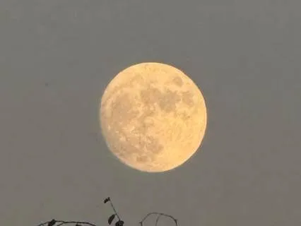 Yoga Nidra - Full Moon Bathing