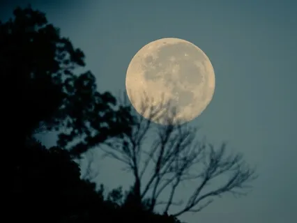 Yoga Nidra - Full Moon Walk In The Woods - No Background Music