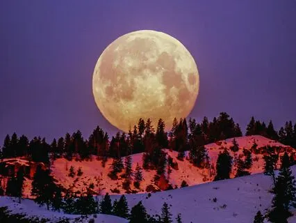 Yoga Nidra: Full Moon Wishes