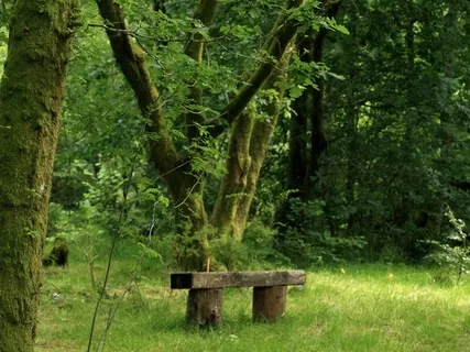 Yoga Nidra: Gentle Relaxation