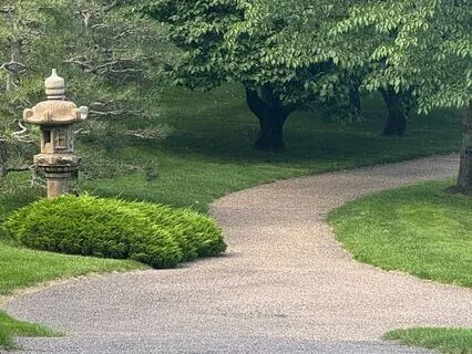 Yoga Nidra - Gentle Release Of Cortisol And Adrenal Balance