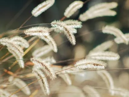 Yoga Nidra: Gentle Rest For The Nervous System