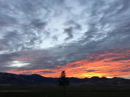 Yoga Nidra: Get Cozy