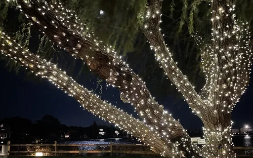 Yoga Nidra Gratitude 