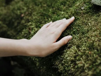 Yoga Nidra | Grounded And Calm