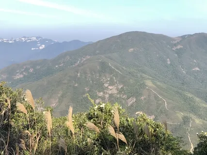 Yoga Nidra:  Grounding & Expanding