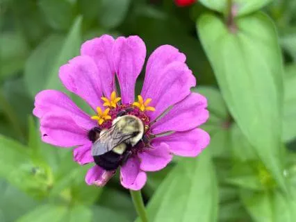 Yoga Nidra Grounding